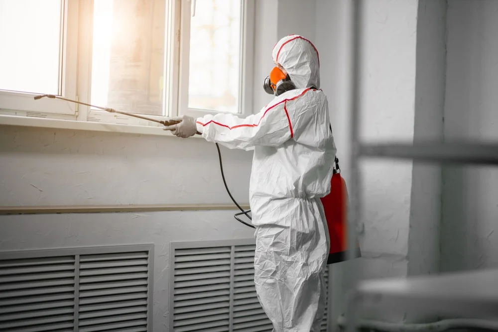Professional mold remediation services in Firestone, CO